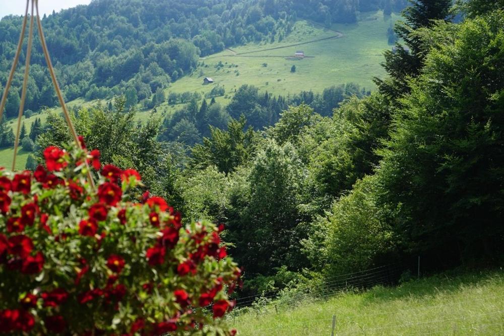Gorczanskie Siedlisko Ochotnica Górna Exterior foto